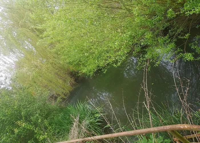 Au Chant Des Grenouilles